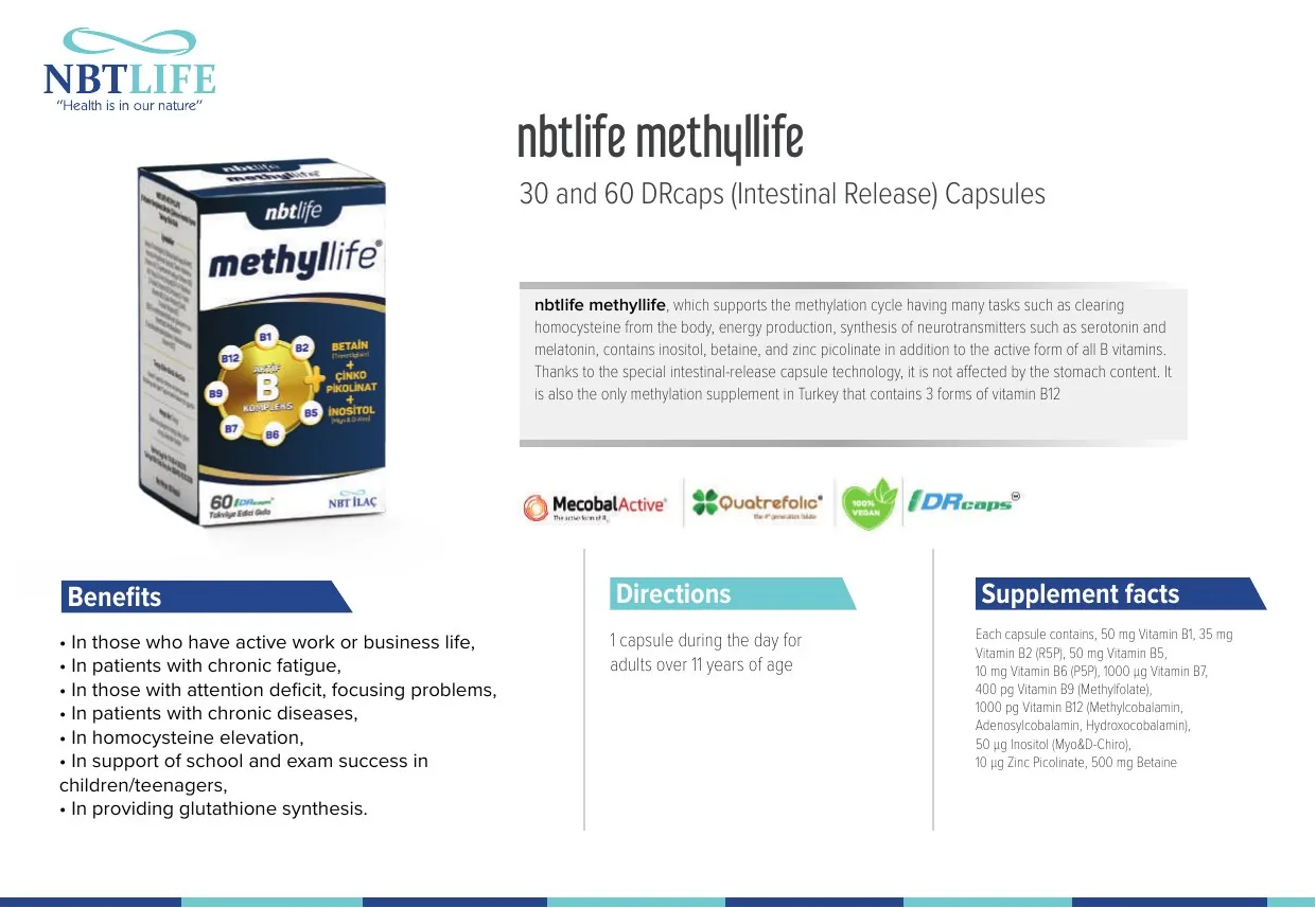NBT Life catalog page 13
