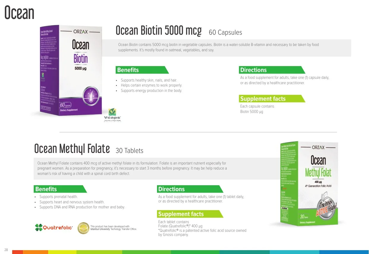 Ocean catalog page 29
