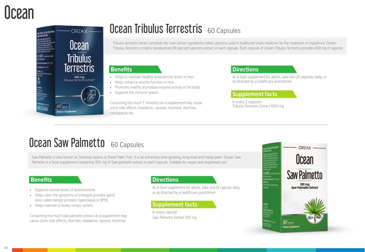 Ocean catalog page 65