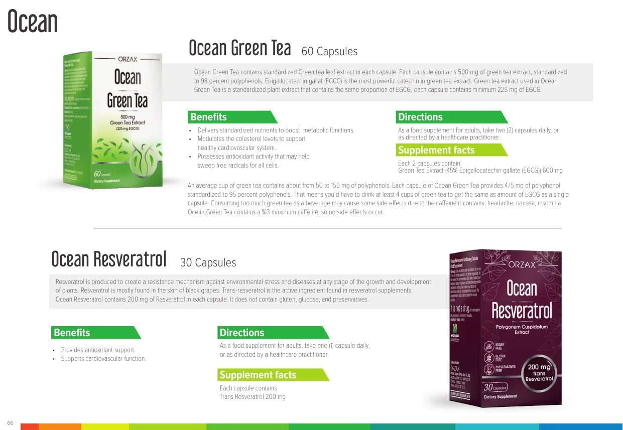 Ocean catalog page 67